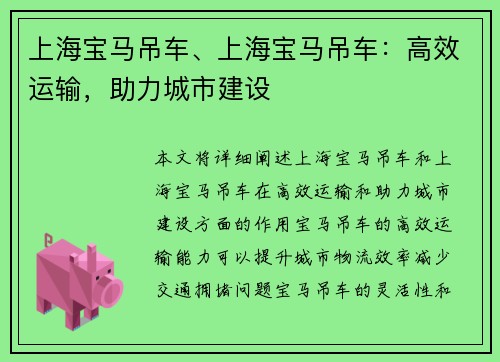 上海宝马吊车、上海宝马吊车:高效运输,助力城市建设
