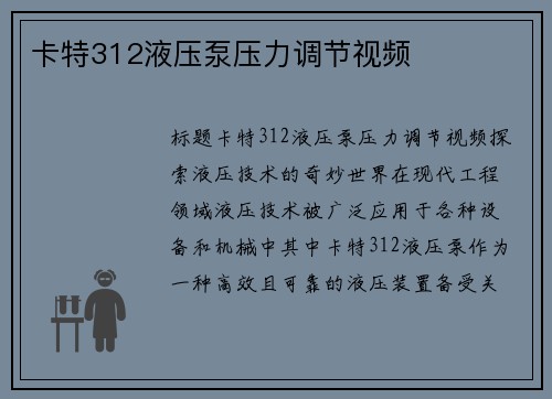 卡特312液压泵压力调节视频