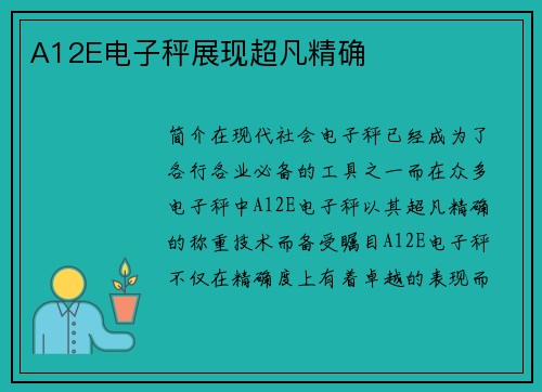 A12E电子秤展现超凡精确