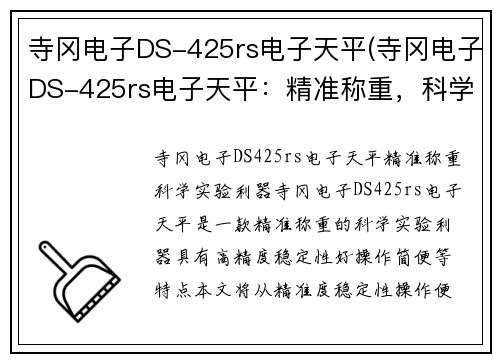 寺冈电子DS-425rs电子天平(寺冈电子DS-425rs电子天平:精准称重,科学实验利器)